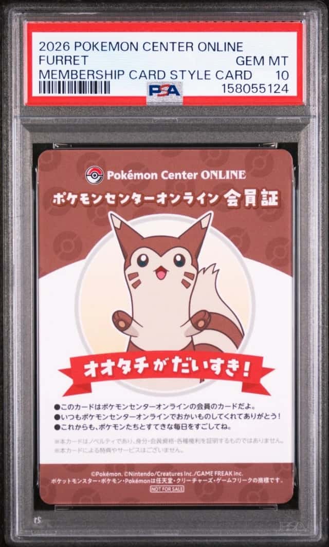 Furret