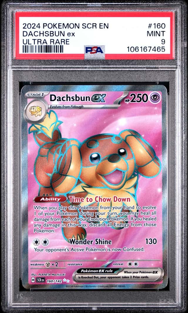 DACHSBUN ex