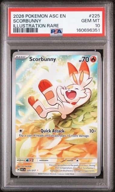 Scorbunny