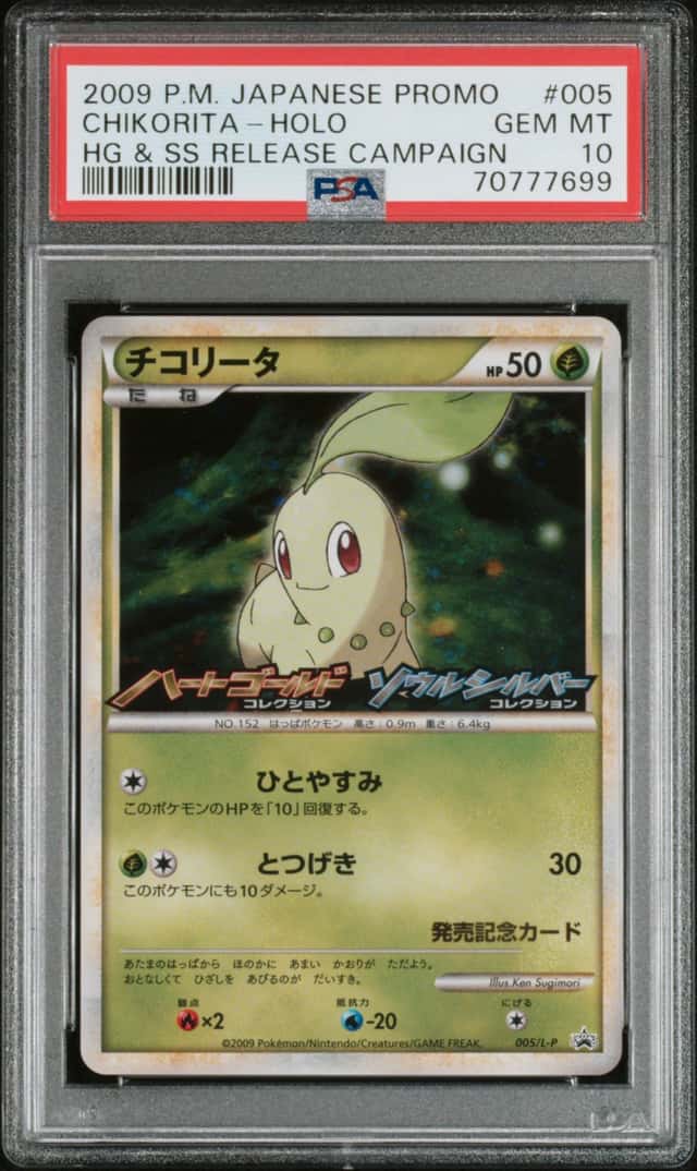 Chikorita
