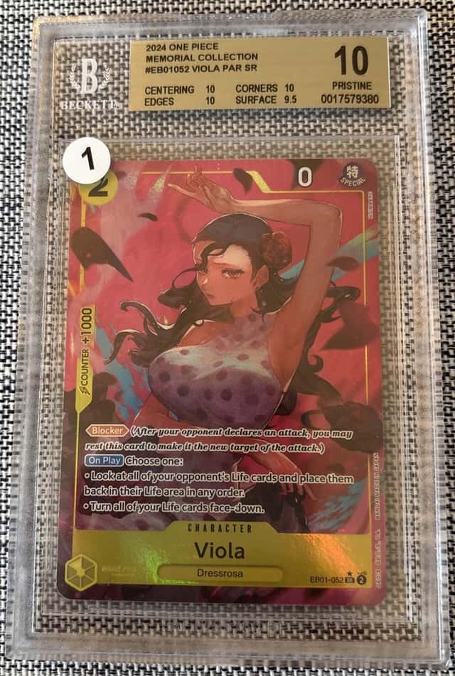 Viola