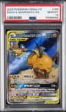 Raichu/aln.raichu Gx