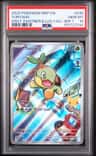 Turtwig