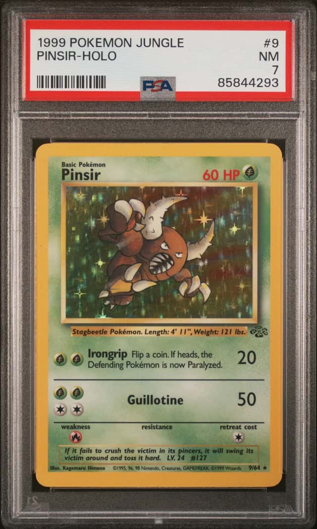 Pinsir
