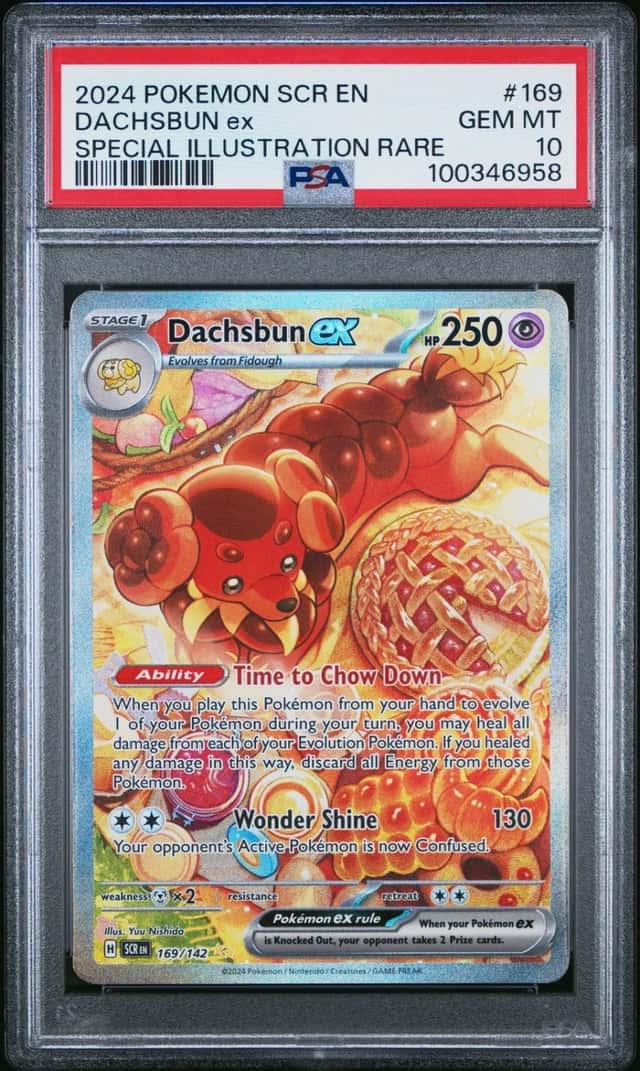 DACHSBUN ex