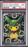 Poncho-Wearing Pikachu