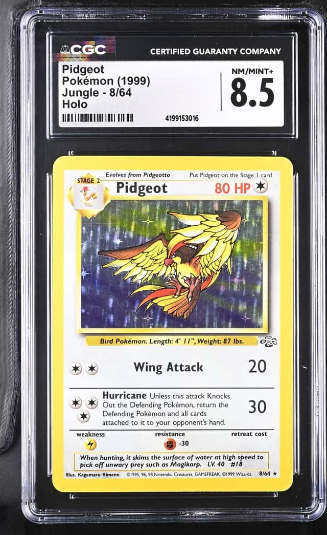Pidgeot
