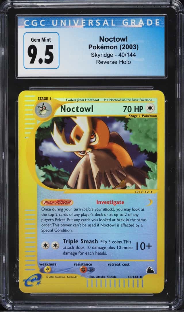 Noctowl