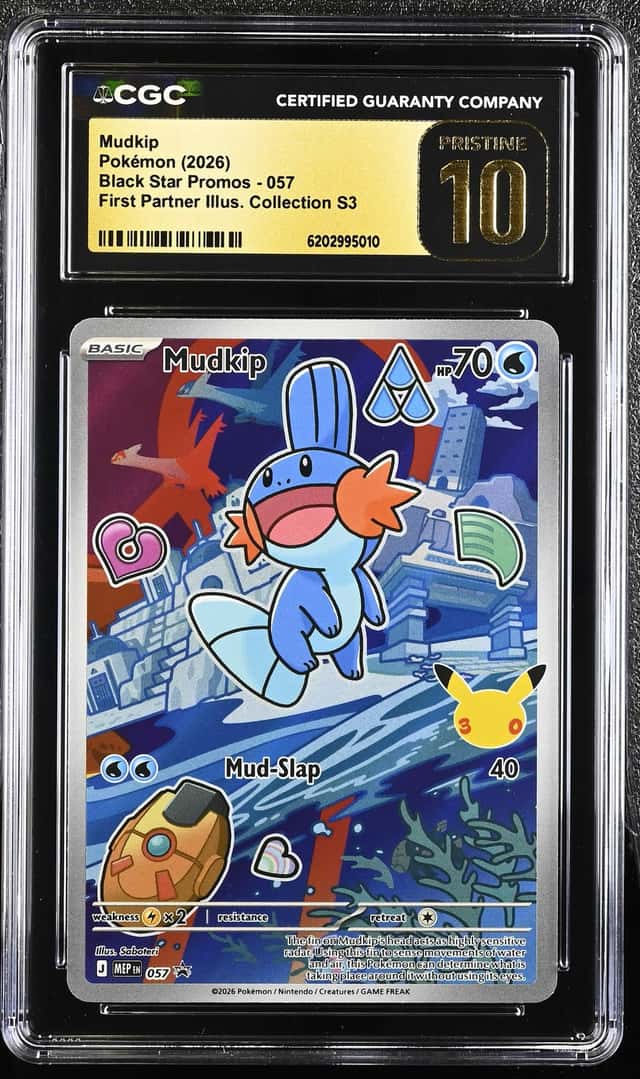 Mudkip