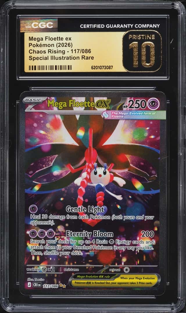 MEGA FLOETTE ex