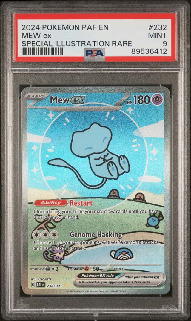 MEW ex