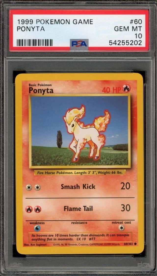 Ponyta