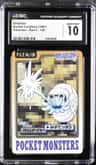Omanyte