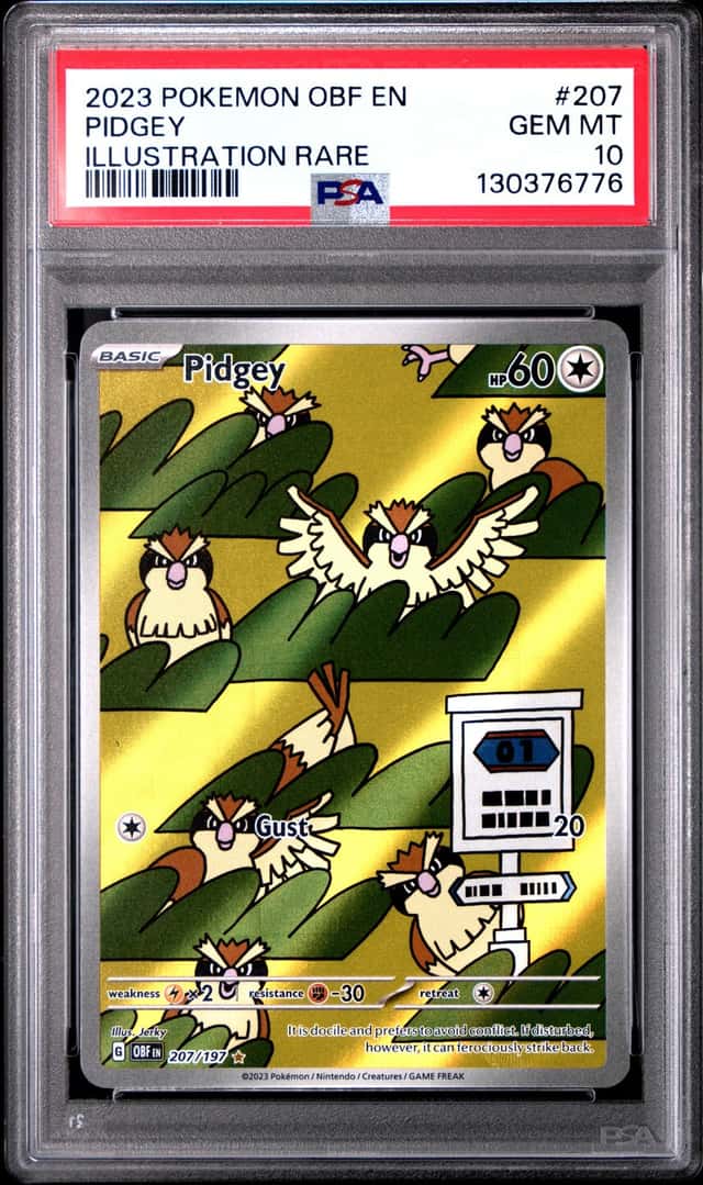 Pidgey