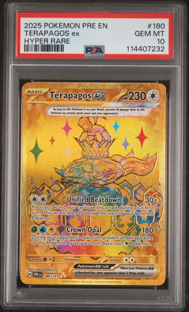 TERAPAGOS ex