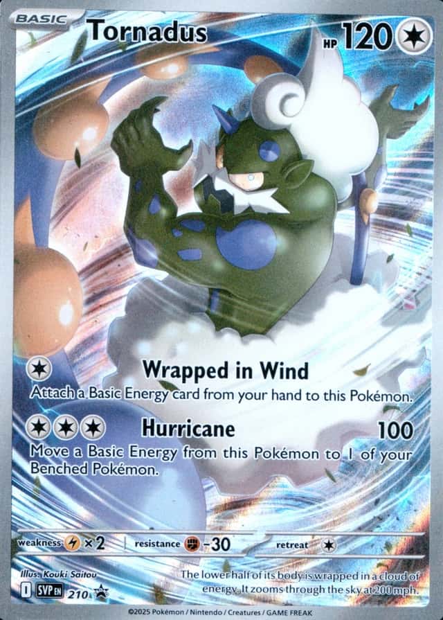 Box Elite Trainer