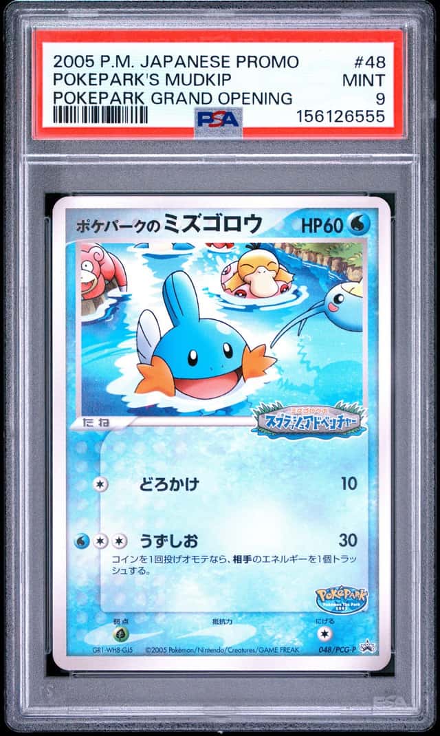 Pokepark's Mudkip
