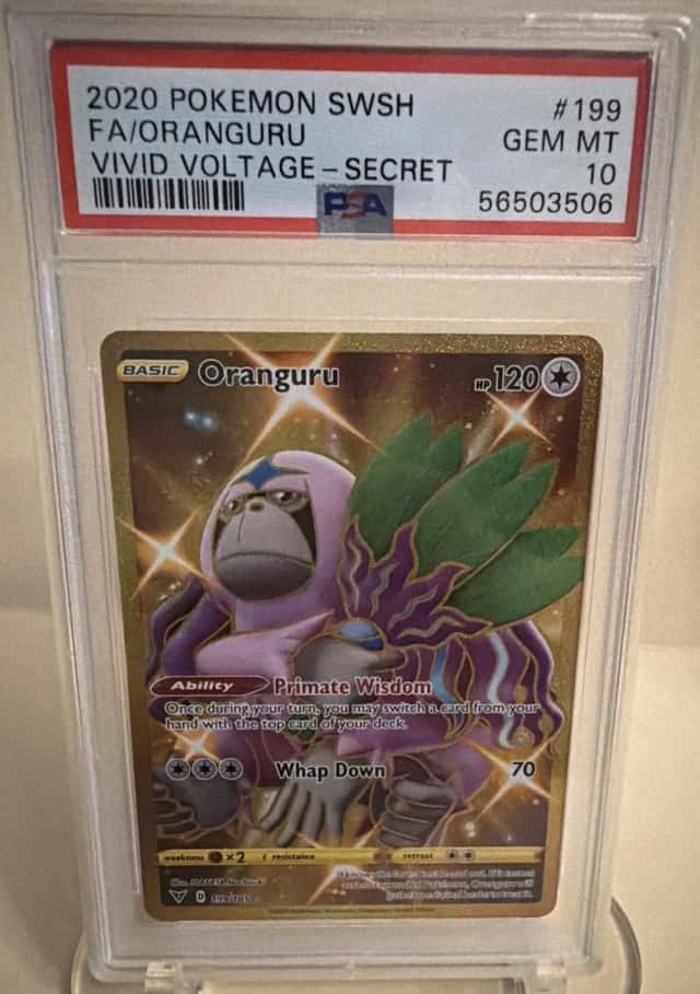 Oranguru
