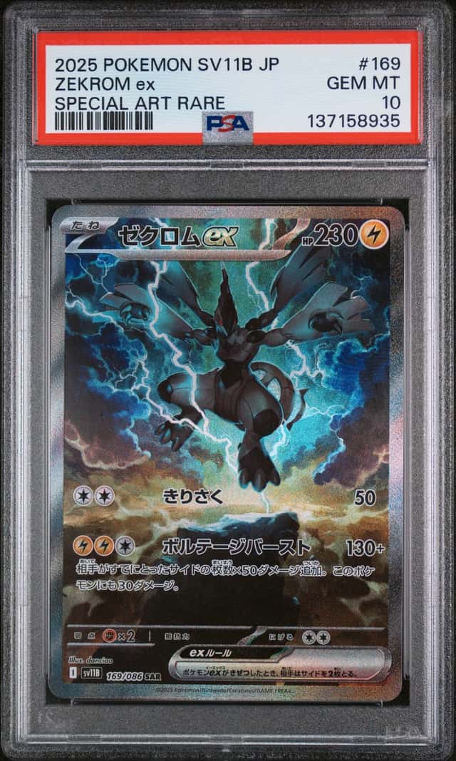 ZEKROM ex