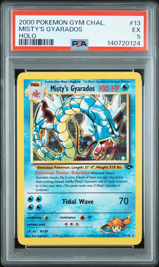 Misty's Gyarados
