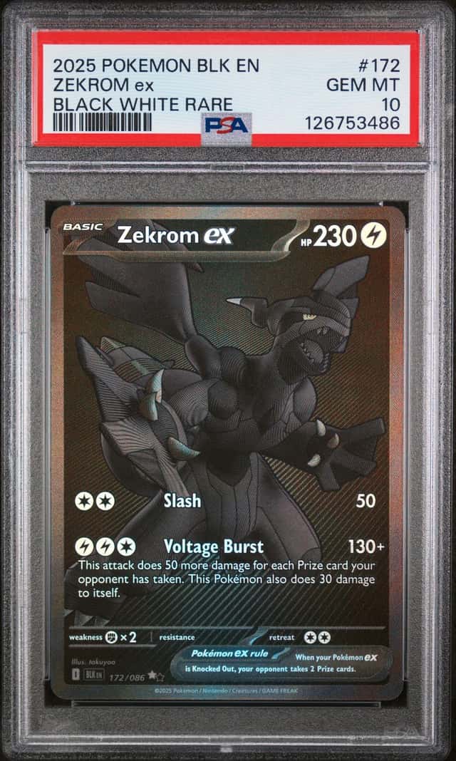 ZEKROM ex