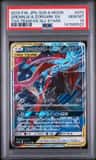 Greninja & Zoroark Gx