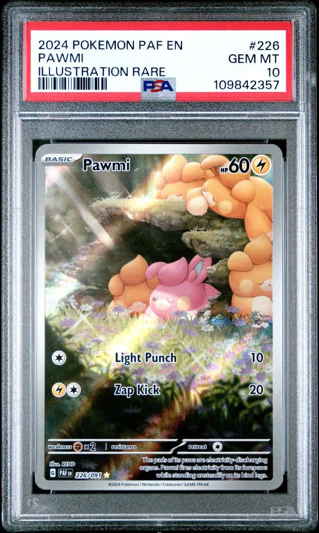 Pawmi