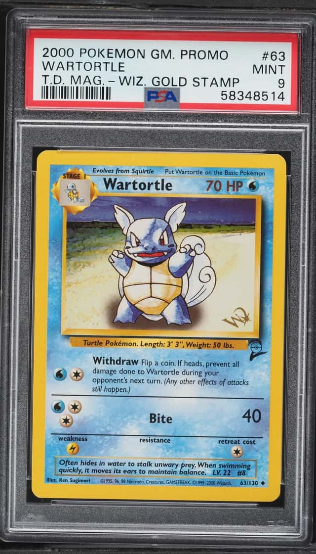 Wartortle
