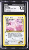 Koga'S Ditto