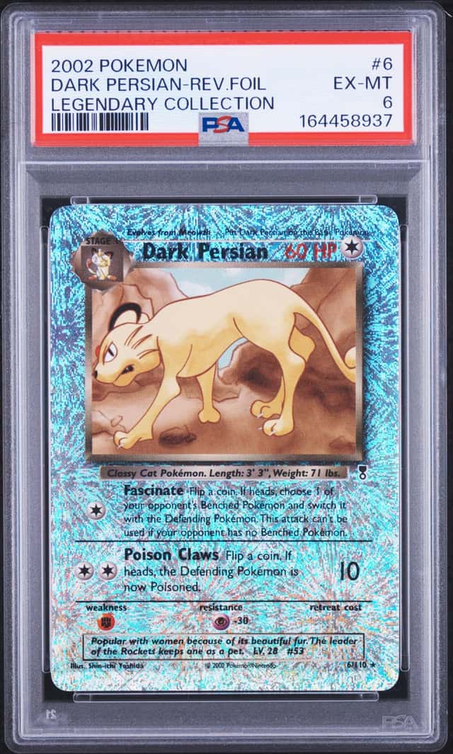 Dark Persian