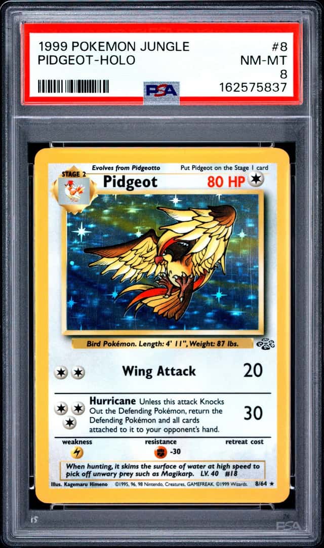 Pidgeot