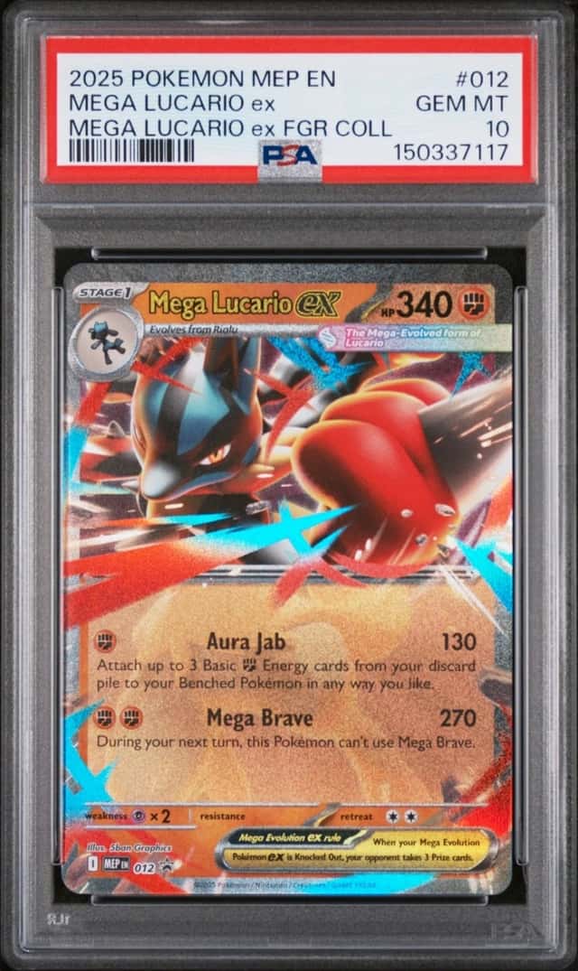 MEGA LUCARIO ex
