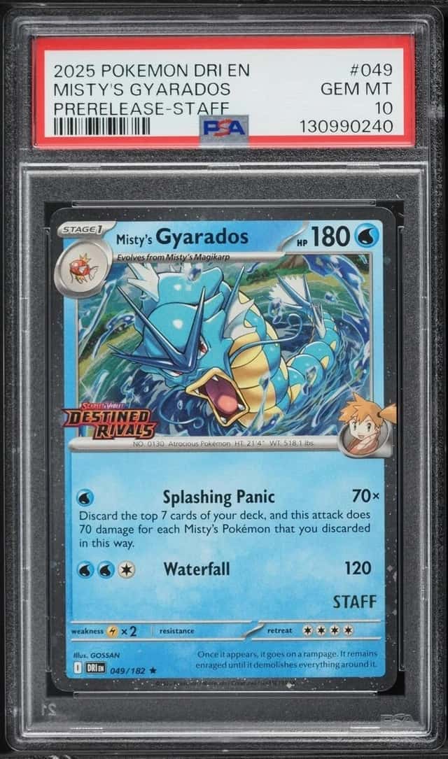 Misty's Gyarados