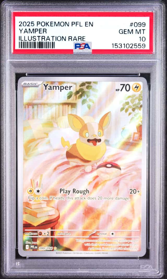 Yamper