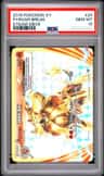Pyroar Break