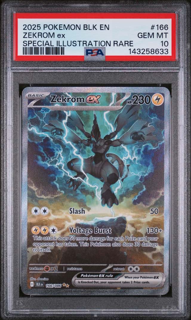 ZEKROM ex