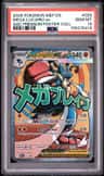 Mega Lucario Ex