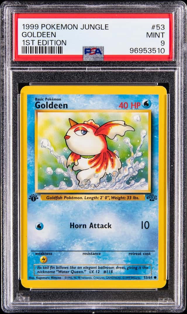 Goldeen