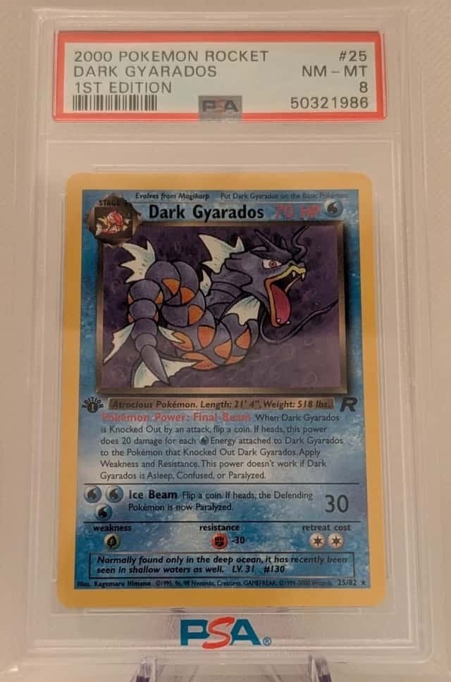 Dark Gyarados