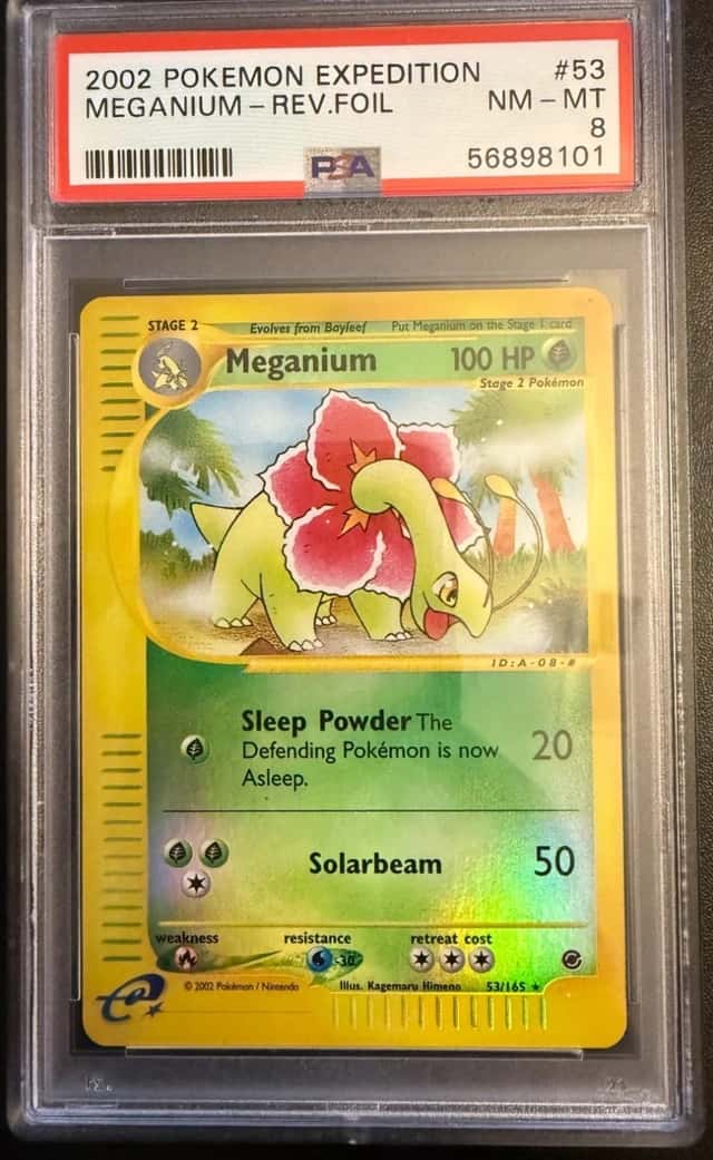 Meganium