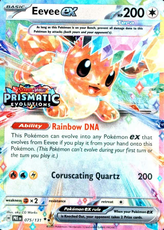 Holo · Box Exclusive Surprise