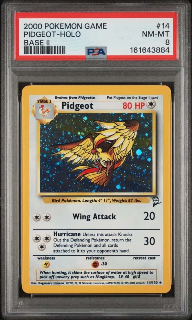 Pidgeot