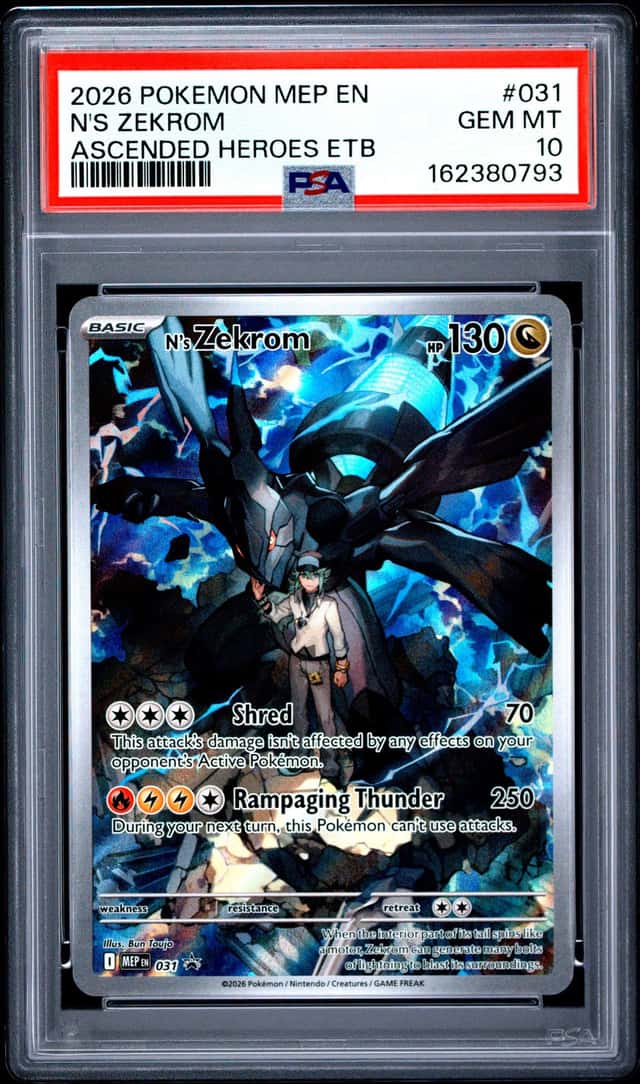 N's Zekrom