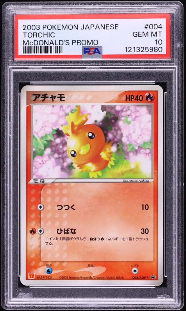 Torchic