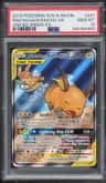Raichu & Alolan Raichu Gx