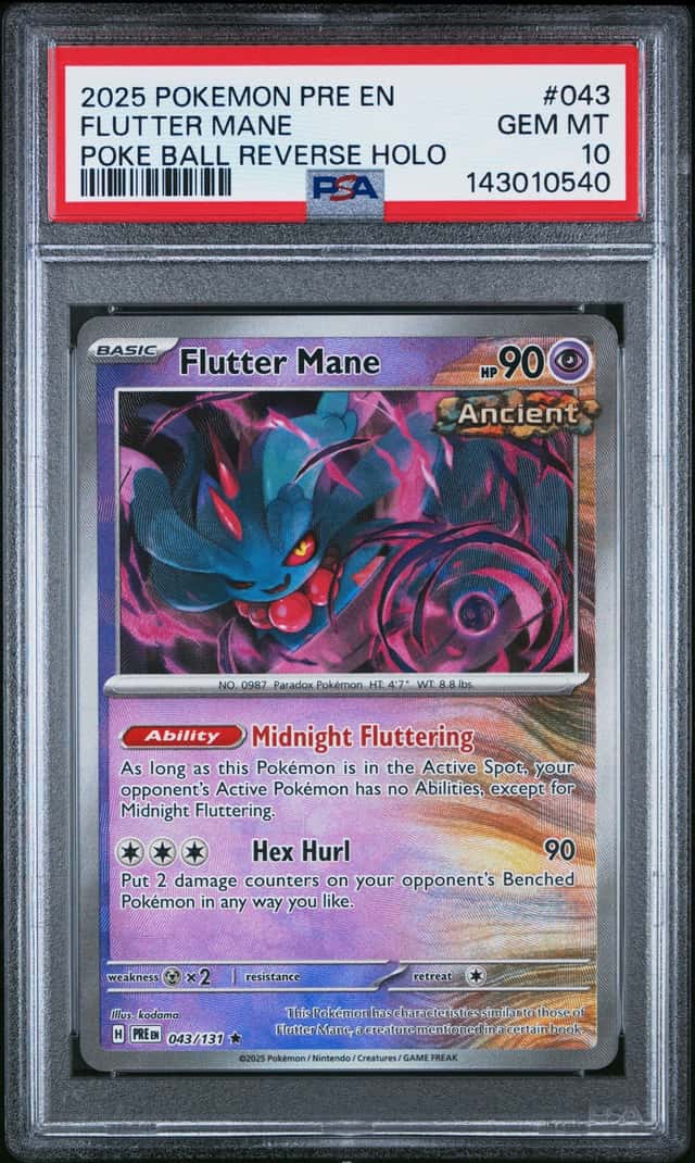Flutter Mane