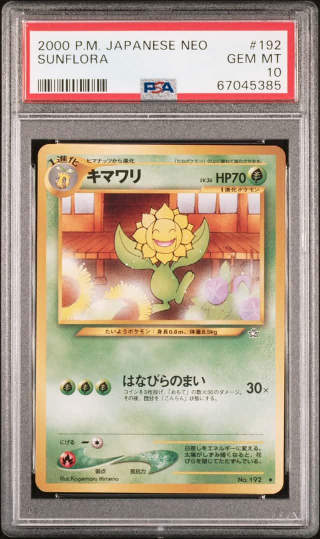 Sunflora