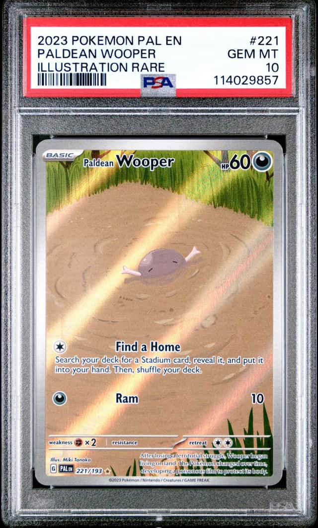 Paldean Wooper