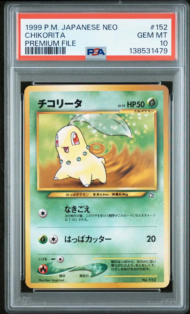 Chikorita