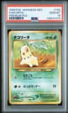 Chikorita